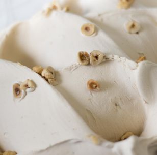 HAZELNUT HAZELNUT