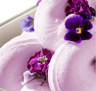 VIOLET VIOLET